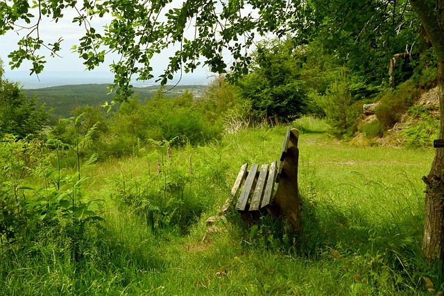 的完美升级 的完美升级